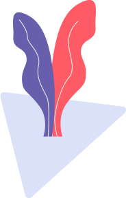 shape 4